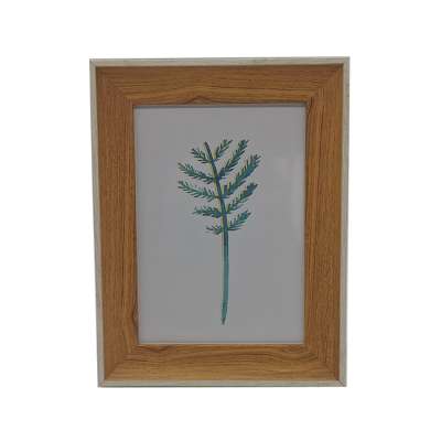 Home decoration Picture plastic frames printing frame